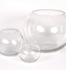 Fish Bowl 10cm Clear