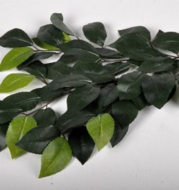 Camellia Leaf Greenery 46 Leaves Florist Wedding Bouquet