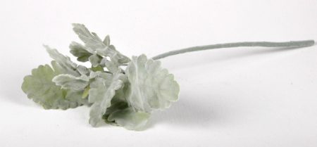 Dusty Miller Stem Flower Florist Wedding Bouquet