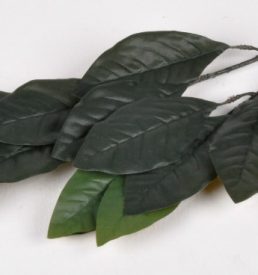 Magnolia  Leaf Greenery 14 Leaves Florist Wedding Bouquet