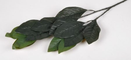 Magnolia  Leaf Greenery 14 Leaves Florist Wedding Bouquet