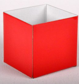 Tiny Gloss Box Red 10x10x10cm Florist Gift Wrapping