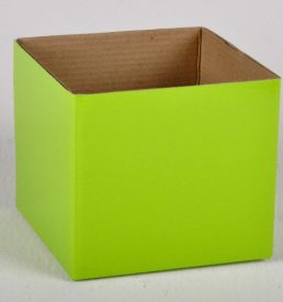 Small Gloss Box Moss Green 12x12x11cm Florist Gift Wrapping