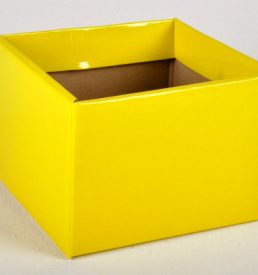 No6 Gloss Box Yellow 17x17x12cm Florist Gift Wrapping