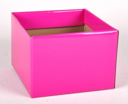 No6 Gloss Box Lime Green 17x17x12cm Florist Gift Wrapping
