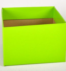 Large Gloss Box Lime Green 23x23x15cm Florist Gift Wrapping