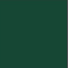 Cellophane Hunter Green 50x70cm Pk100 Wrapping Gifts Florist