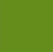 Cellophane Moss 50x70cm Pk100 Wrapping Gifts Florist